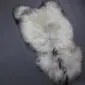 Natural white Icelandic sheepskin rug with long, shaggy wool and dark grey edges.