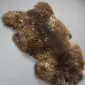 Rare Breed Sheepskin Rug RBL-103 (4) Large rare breed sheepskin rug with long, textured wool in mottled shades of dark brown, tan, and cream.