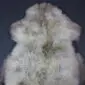 Large rare breed sheepskin rug with thick cream wool and natural grey and brown markings.