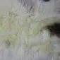 Large rare breed sheepskin rug with long, thick wool in cream, grey and dark brown tones.