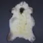 Large cream rare breed sheepskin rug with natural dark brown and grey markings on a dark grey background.