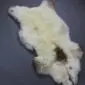 Large rare breed sheepskin rug in cream with natural brown and grey markings.