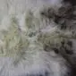 Close-up of a rare breed sheepskin rug with long, textured wool in cream, grey and brown tones.
