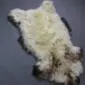 Large rare breed sheepskin rug with long cream wool and dark brown markings on the edges.