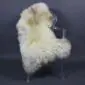 Large rare breed sheepskin rug with long cream wool and natural brown markings laid flat.