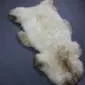 Large rare breed sheepskin rug with thick cream wool and natural brown markings on the edges.