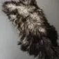 Natural grey Icelandic sheepskin rug with long, curly wool in variegated shades of charcoal and silver. detail view