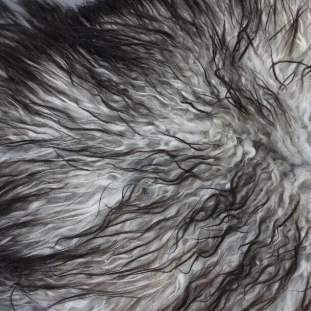 Natural Curly Grey Icelandic Sheepskin Rug