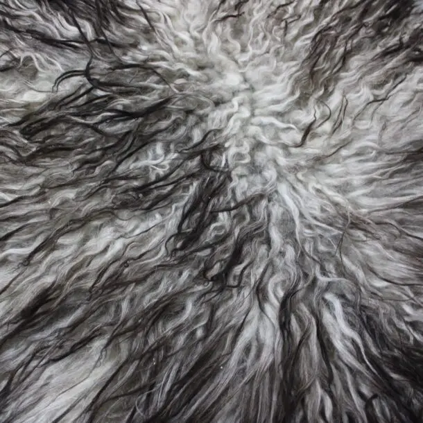 Natural Curly Grey Icelandic Sheepskin Rug