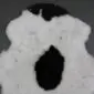 Icelandic Sheepskin Rug IMX132 (4) Shorn Icelandic sheepskin rug with natural white wool and large black markings.