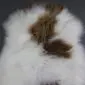 Icelandic Sheepskin Rug ISM388 (4) Long-haired Icelandic sheepskin rug with white wool and natural brown patches.