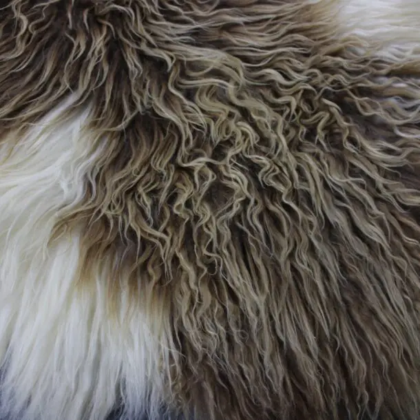 Natural Curly Icelandic Sheepskin Rug Mixed