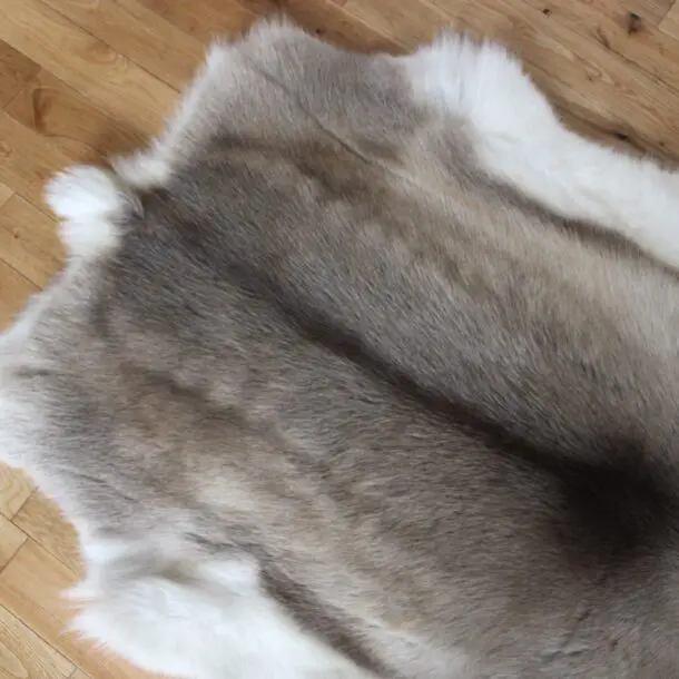 Siberian Reindeer Hide SR242