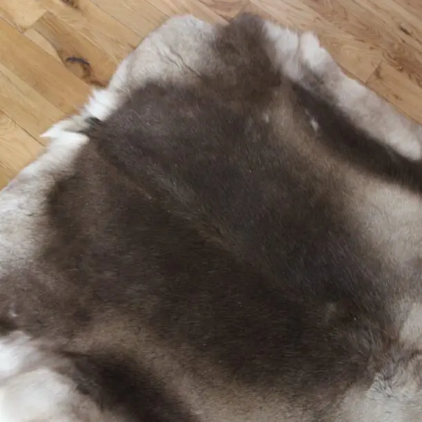 Siberian Reindeer Hide SR245