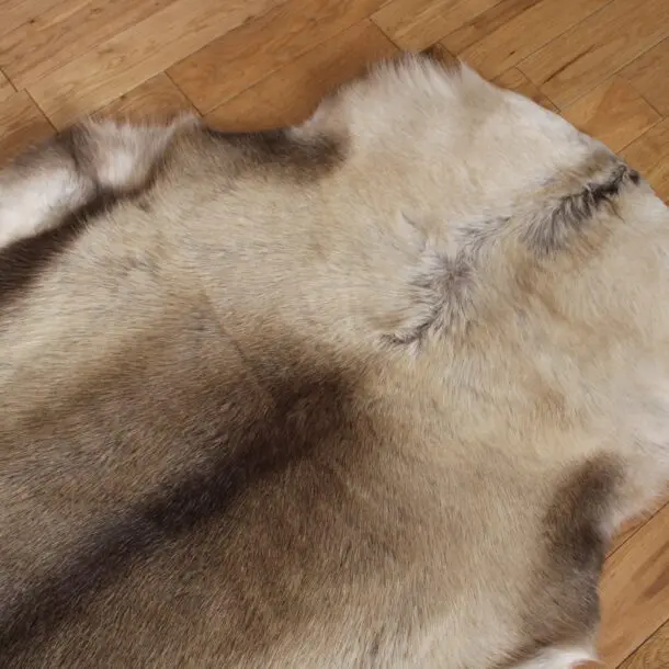 Siberian Reindeer Hide SR246