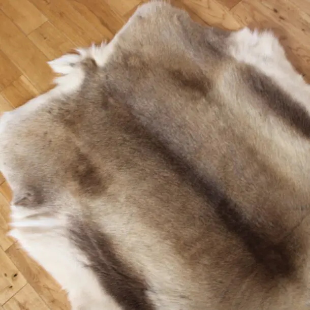 Siberian Reindeer Hide SR246