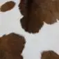 Calfskin Rug CF168a (1) Natural calfskin rug featuring a white base with irregular dark brown patches and a soft textured finish.