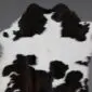 Natural calfskin rug with a black and white speckled pattern and organic shape.