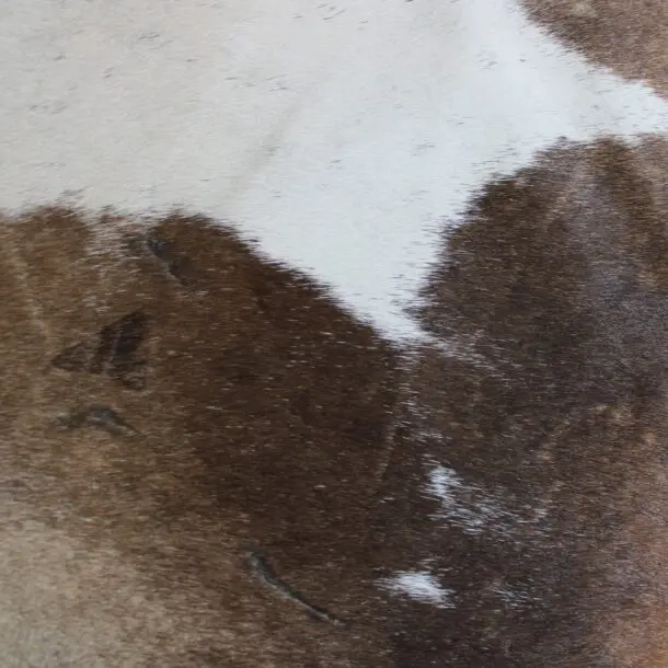 Cowhide Rug Brown and White C00940