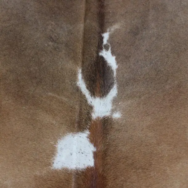 Cowhide Rug Brown and White C00940