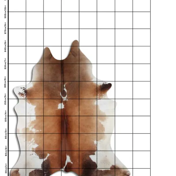 Cowhide Rug Brown and White C00940