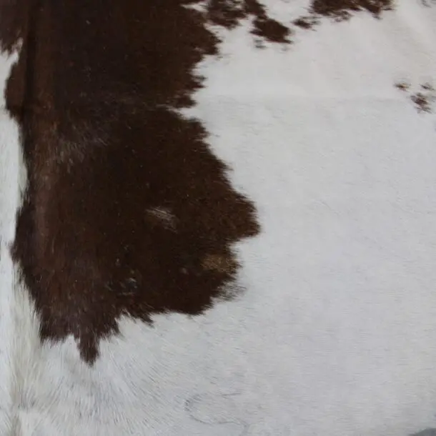 Cowhide Rug Brown and White C00942