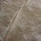 Close up of a beige and brown exotic cowhide rug showing natural hair texture and brindle patterns.