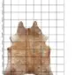 Natural cowhide rug in exotic beige and tan tones with an irregular shape, displayed on a measured grid background.