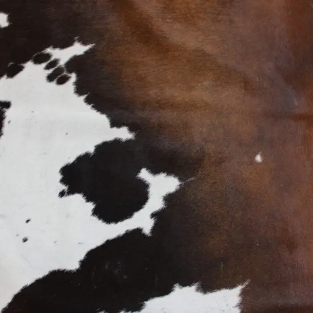 Cowhide Rug Exotic C00946