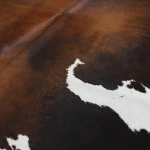 Cowhide Rug Exotic C00946