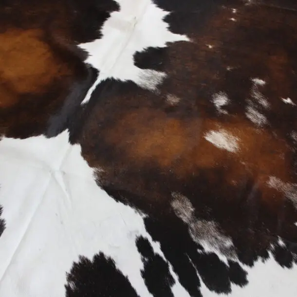 Cowhide Rug Exotic C00947