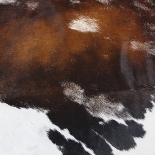 Cowhide Rug Exotic C00947