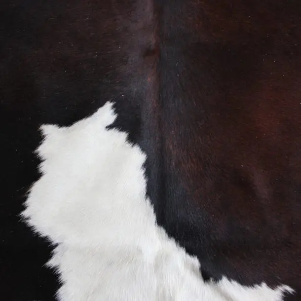 Cowhide Rug Exotic C00949