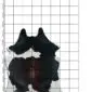 Natural cowhide rug with black and white patches and a central brown stripe, shown on a grid background.