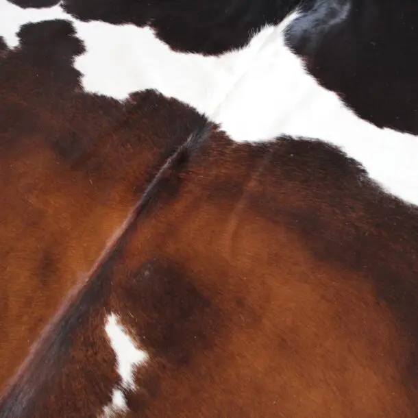 Cowhide Rug Exotic C00950