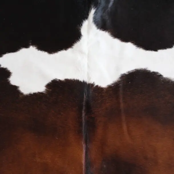 Cowhide Rug Exotic C00950