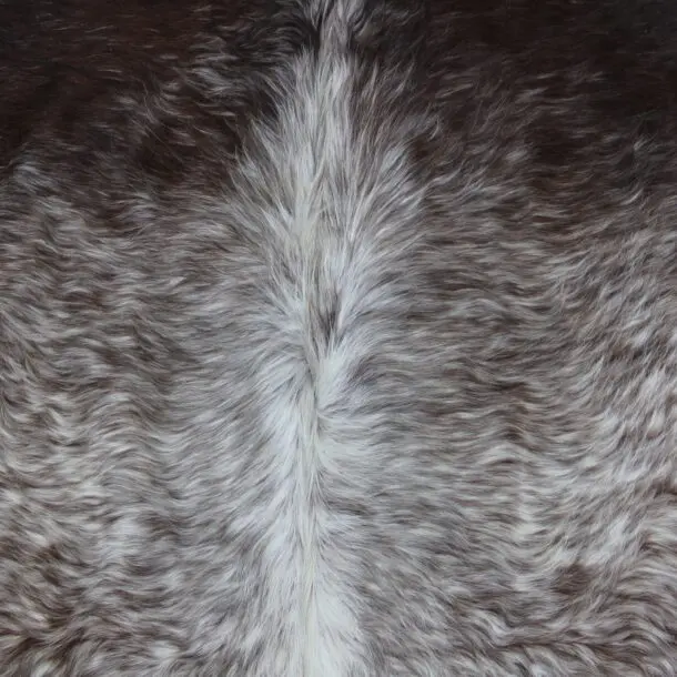 Cowhide Rug Speckled C00953