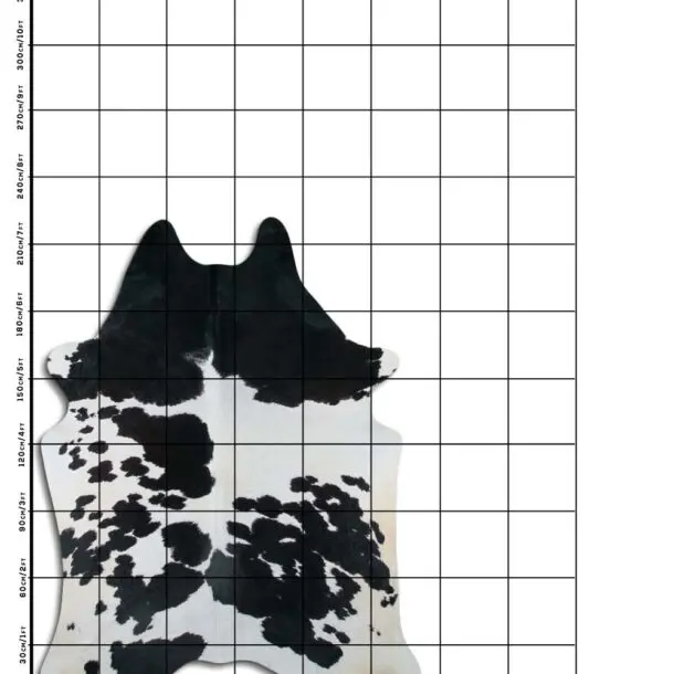 Cowhide Rug Black and White C00955