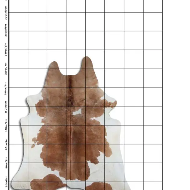 Cowhide Rug Brown and White C00956