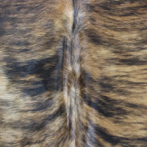 Cowhide Rug Exotic C00958