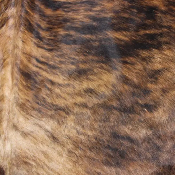 Cowhide Rug Exotic C00958