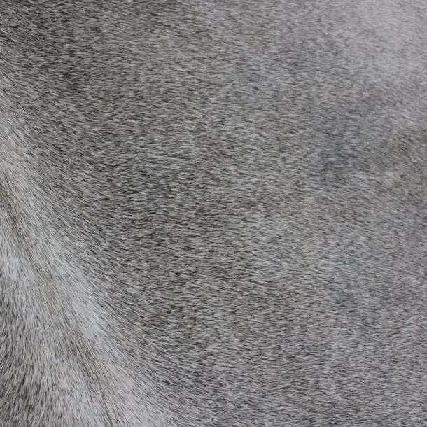 Cowhide Rug Grey C00959