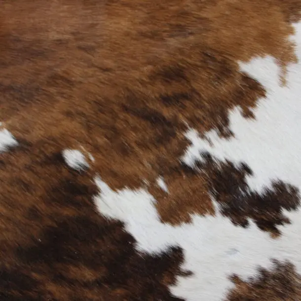 Cowhide Rug Exotic C00960