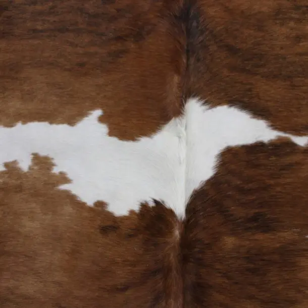 Cowhide Rug Exotic C00960