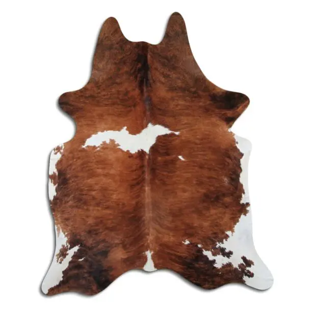 Cowhide Rug Exotic C00960