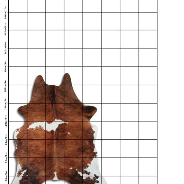 Cowhide Rug Exotic C00960