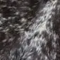 Close-up of a speckled cowhide rug featuring a natural pattern of black and white hair.