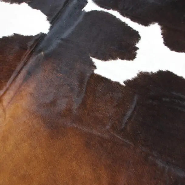 Cowhide Rug Exotic C00962