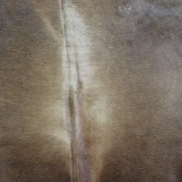 Cowhide Rug Brown C00964