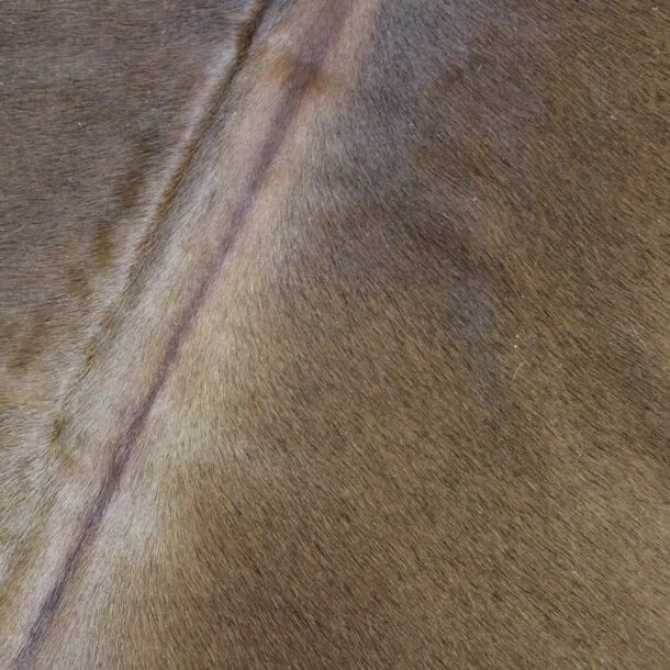 Cowhide Rug Brown C00964